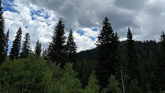 Redman Campground