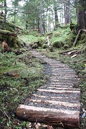 Trail