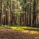Campspot slideshow image 3