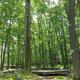 Campspot slideshow image 3