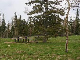 DEER HAVEN