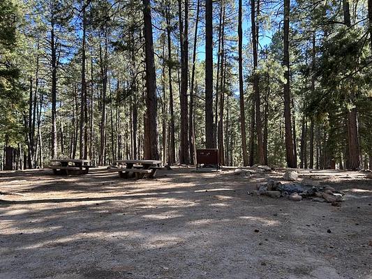 Upper Twilight Group Site, Loop: UPPER TWILIGHT GROUP SITE