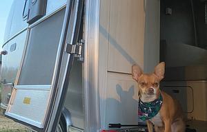 2021 Airstream Bambi 20FB