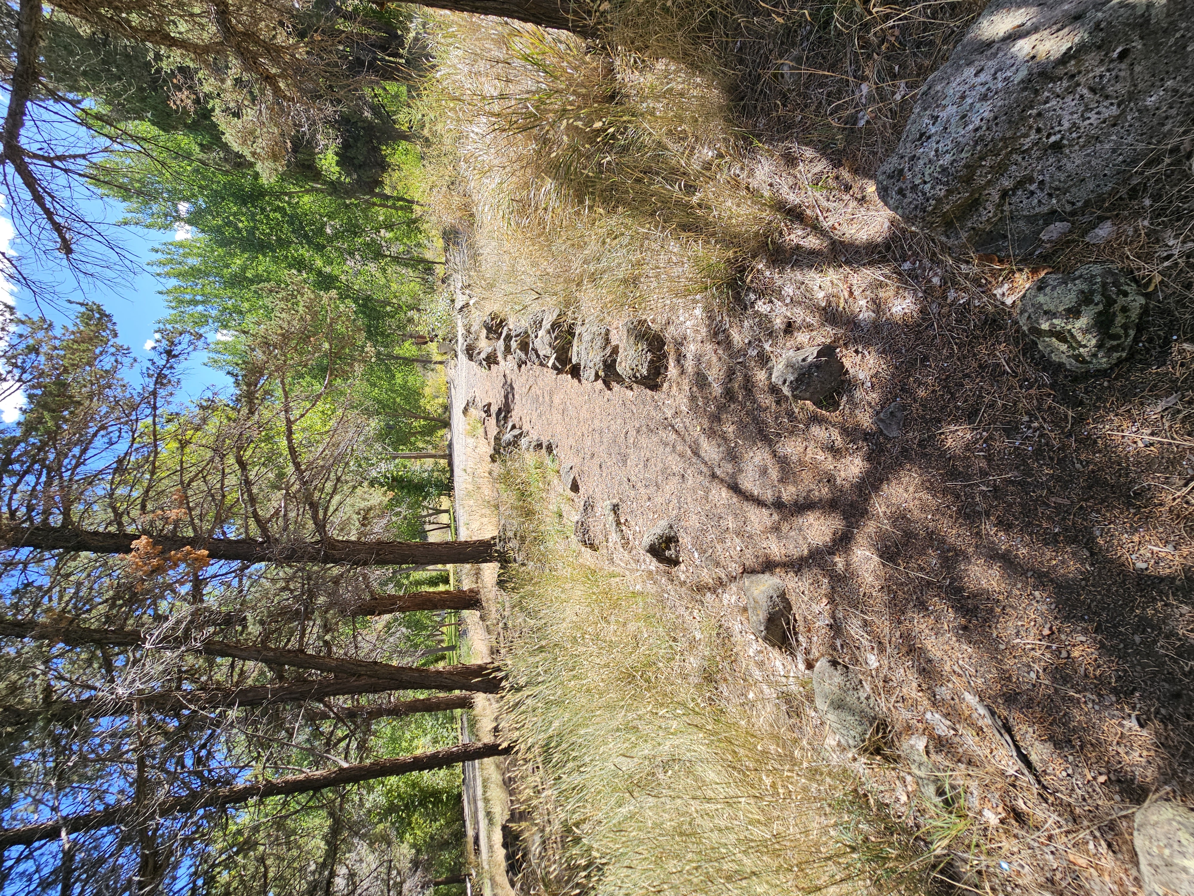 Chukar Park Campground