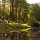 Scenic pond view with shoreline, bridge and golf carts—good wide scenic image depicting campground landscape and water feature; used on the site's homepage slider.