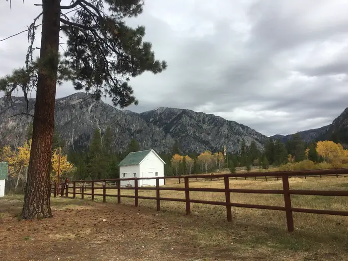 Atlanta Cabin
