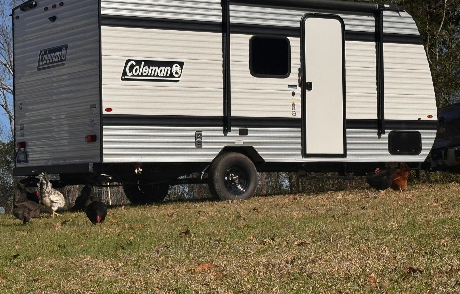 2025 Keystone Rv Coleman 17b