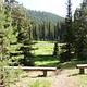 Trail through sunny meadow encircled by conifer forest with hill and bright sky in background.