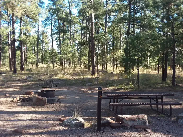 Rim Campground