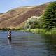 Fishing the “Lower D”
