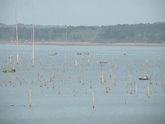 Water Valley Landing