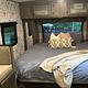 Kid Approved, Pet Friendly, 2021 Apex Nano RV