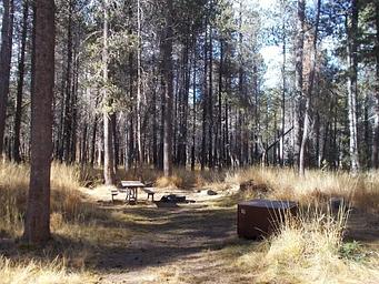Campsite at Bridalveil Creek Campground