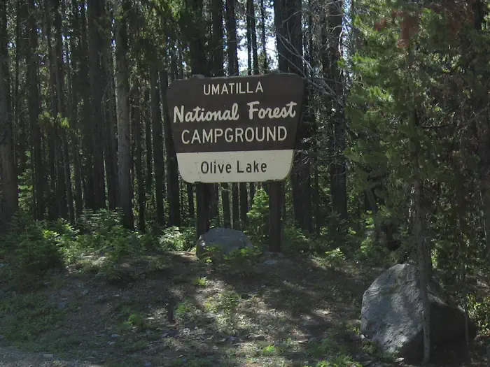 Olive Lake Campground (OR)