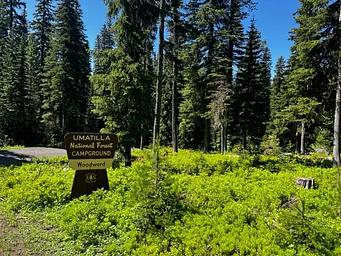 Entrance sign reading " UMATILLA National Forest CAMPGROUND - Woodward" in a wooded area with tall trees and green underbrush