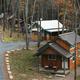 deep creek lake cabin rentals
