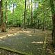 BADIN LAKE GROUP CAMP