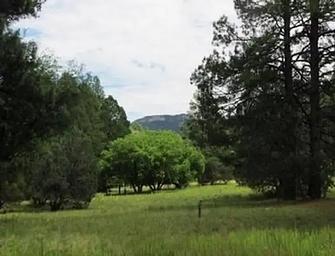REYNOLDS CREEK GROUP CAMPGROUND