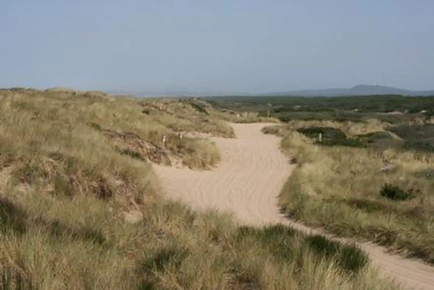 Horsfall Beach