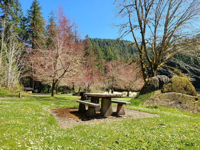 Loon Lake Recreation Site