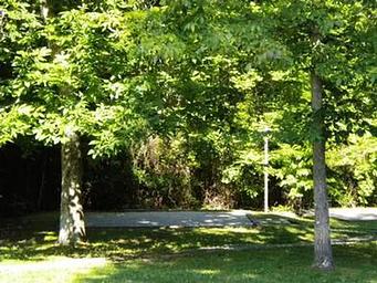 CRAIGS CREEK GROUP AREA