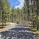 Shoreline Campground/1457