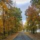 Autumn on the Loops