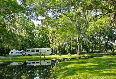 Clover Leaf Forest RV Resort