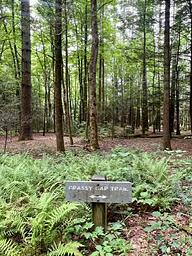 Basin Cove Backcountry Camping