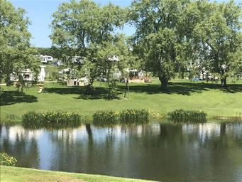 Shoreline view showing trees, grassy campsites and RVs across the pond — highlights campsite character and landscaping (Overview/gallery image).