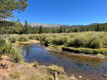 Sweetwater Guard Station Campground