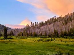 Idaho Wilderness Yurts