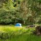 Hoh Campground 01