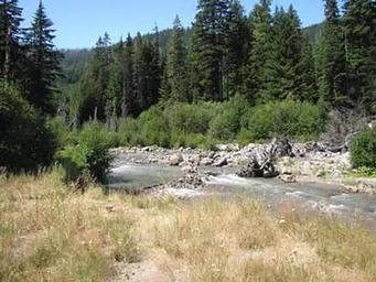 NOTTINGHAM CAMPGROUND