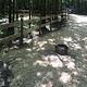 Campground image 3