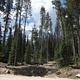NORTH FORK CAMPGROUND - St. CHARLES CANYON
