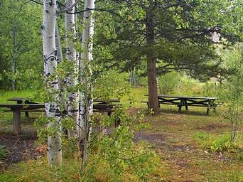 ALLRED FLATS GROUP PICNIC SITE