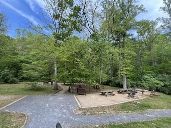 Gravel tent pads surrounded by grass and trees