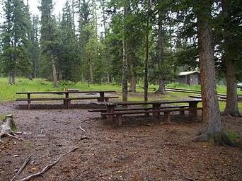 IRON SPRINGS GROUP ASHLEY