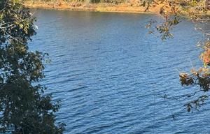 A class "glamping” on Lake Tuscaloosa