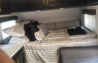 Cozy Wolf Den