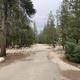 A photo of the road to sites 41-76 at Yosemite Creek Campground