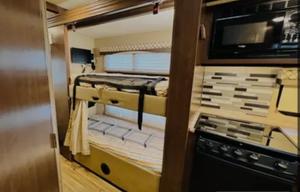 2019 Thor Motor Coach ACE 30.2