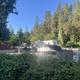 RV sites among lush greenery at Trailin RV Park and Campground.