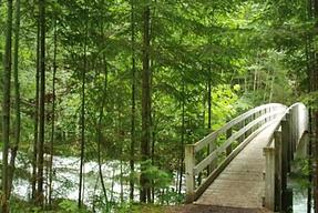 North Fork Beaver Group Camp