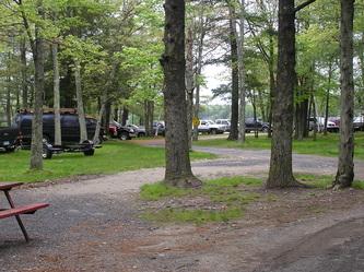 Interior campground view showing wooded roads, parking and picnic table — represents campsites/vehicle access and site layout (from the Photo Gallery).