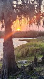Seminole Ranch Conservation Area Hatbill SJRWMD