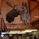 Campspot slideshow image 3