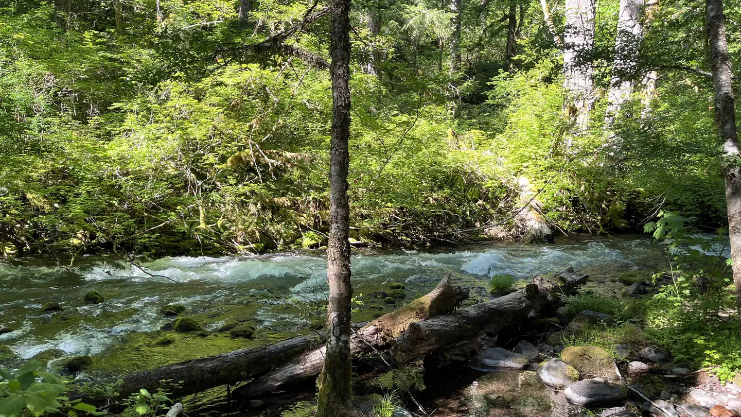 Roaring River (GROUP)