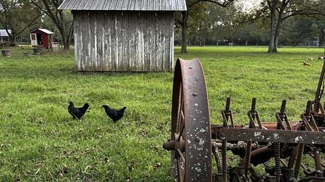 Fulmer's Farmstead
